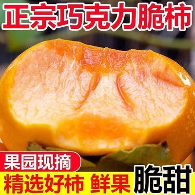 彩箱】阳丰脆柿巧克力脆柿应季柿子当季新鲜冰糖整箱无核脆甜优惠商品图片
