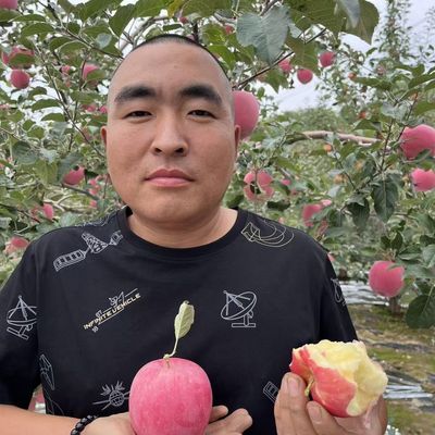 期盼一年静宁苹果,2026年新苹果终于下来了,欢迎新老客户品鉴