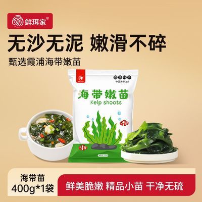 鲜珥家霞浦海带嫩苗400g海带芽裙带菜凉拌煮汤火锅麻辣烫通用食材