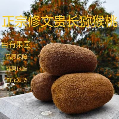 正宗修文贵长猕猴桃国家地理标志果园现摘酸甜多汁风味浓坏果包赔优惠商品图片