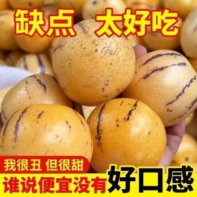 【石林人参果】云南石林人参果大果圆果当季整箱新鲜黄肉低糖熟果
