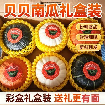 三色贝贝南瓜礼盒装南瓜粉糯甜会议伴手礼福利新鲜现摘南瓜