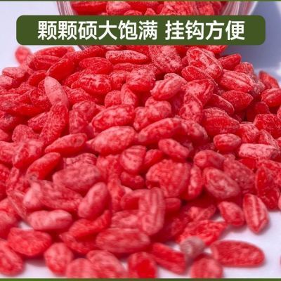 抖米二代正品传统钓饵料颗粒爆款钓鱼饵料二代鱼饵料正品小鱼饵料