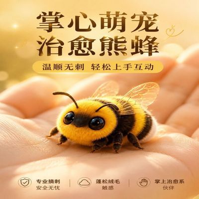 宠物熊蜂雄性两只无刺可上手;网红宠物熊蜂儿童科普饲养小虫