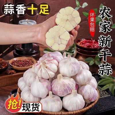 【特大干蒜】山东金乡紫皮大蒜头新干蒜大蒜头批发整箱新鲜大蒜头优惠商品图片
