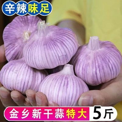 山东金乡紫皮大蒜红皮大蒜大蒜头紫白皮大蒜干蒜大果金乡产地直发优惠商品图片