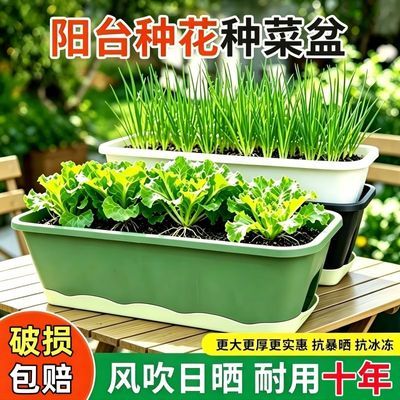 特大家用阳台种菜盆懒人自动吸水长条种菜盆加厚加深树脂种植箱