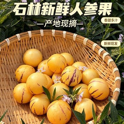 云南正宗石林树上熟人参果(小果)黄心肉圆果新鲜应季整箱