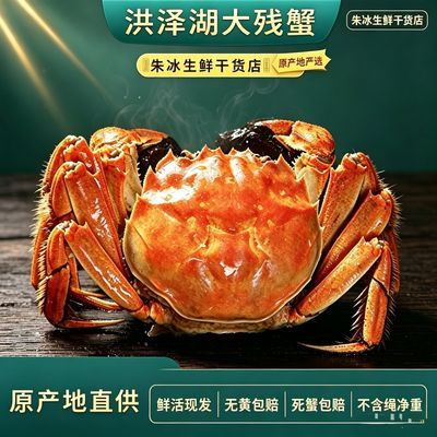 特大洪泽湖断脚母蟹不含绳净重2-3斤当日捕捞蟹农直发优惠商品图片