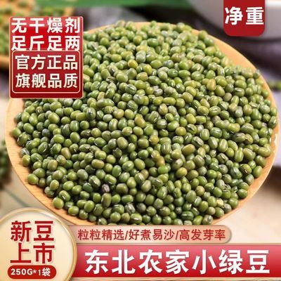 【一斤装】新品上市新绿豆干货土特产发芽皮薄农家解暑绿豆汤批发优惠商品图片