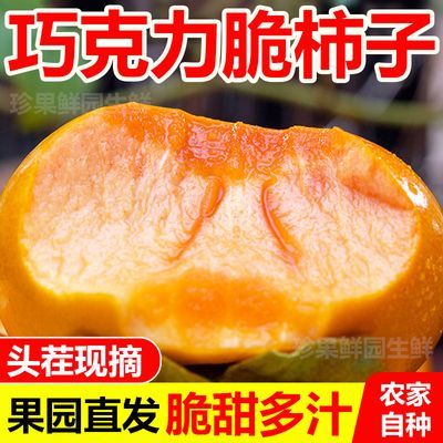 脆柿子巧克力柿子正宗新鲜应季水果现摘脆甜硬黄阳丰柿子整箱包邮