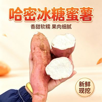 山东哈密正宗冰糖地瓜新鲜番薯密薯白薯现挖沙地白心红薯糖心蜜薯优惠商品图片