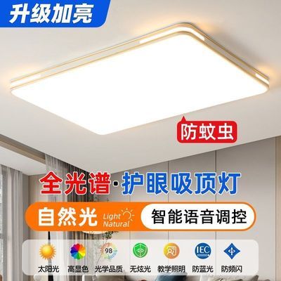 智能语音吸顶灯客厅灯现代简约大气2025新款主卧室灯餐厅阳台灯具