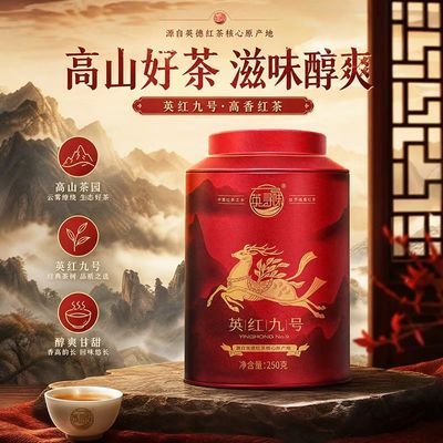英红九号经典口粮茶250克罐装红茶品鉴装新茶老树红茶耐泡高级