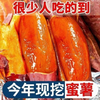 现挖麻枯地蜜薯香甜新鲜红薯板栗番薯山芋地瓜香甜农家