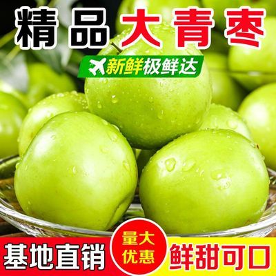 【果农推荐】新鲜牛奶青枣水果当季甜爽脆果园产地大青枣批发