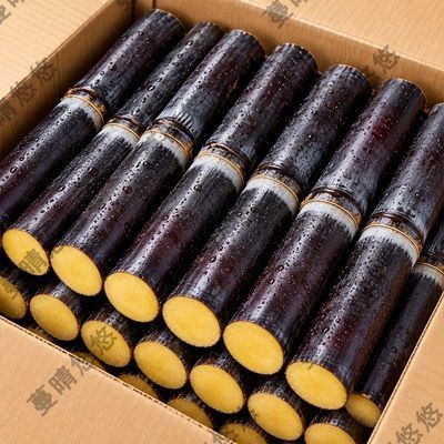 正宗广西黑皮甘蔗中段新鲜水果应当季脆甜果糖蔗榨汁糖浆甜杆批发
