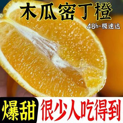 福建甜橙纯甜爆汁黄肉橙子脐橙水果9斤新鲜带叶应季橙子孕妇水果