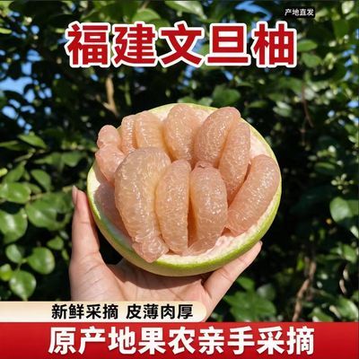 福建仙游度尾红心文旦柚正宗30当季年老老树酸甜柚子新鲜孕妇水果优惠商品图片