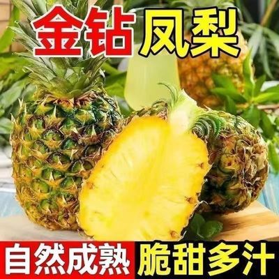 现摘海南直发正宗金钻凤梨新鲜应季水果孕妇热带整箱批发零售优惠商品图片