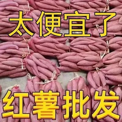 【超便宜】正宗沙地种植红蜜薯新鲜红薯板栗番薯红心糖心地瓜