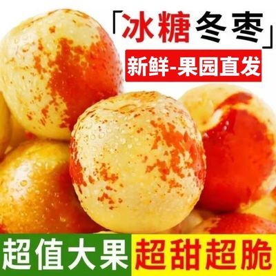 【爆甜】正宗庙上冬枣现摘脆冬枣新鲜应季水果冰糖冬枣带箱5斤优惠商品图片