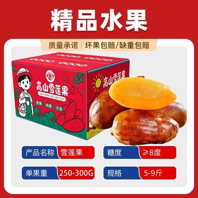 【商超品质】正宗云南天山雪莲果净重5/9斤水果气柱彩箱250-300g