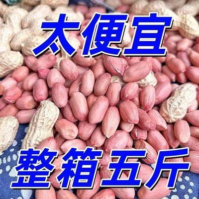 5斤大颗粒鲁花花生米农家自产新鲜花生仁无壳精选长粒花生米优惠商品图片