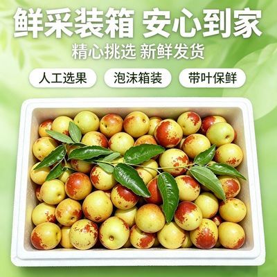 5斤大荔冬枣当季新鲜正宗水果脆甜现摘陕西应季时令整箱鲜枣大果