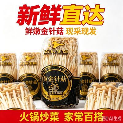 万辰黄金针菇250g新鲜菌菇火锅配菜新鲜金针菇现采现发脆嫩菌菇