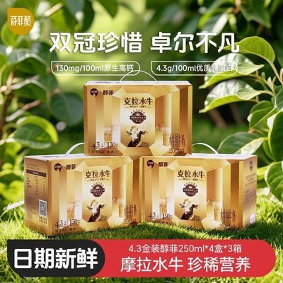 【百菲酪】4.3g金装醇菲水牛纯牛奶250ml*4瓶*3箱早餐营养送礼长辈优惠商品图片