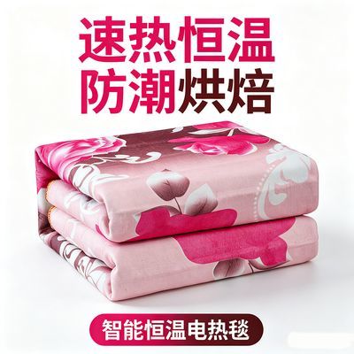 电热毯正品正牌电褥子单人双人双控安全恒温可靠烘焙除潮优惠商品图片