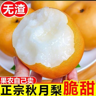正宗山东秋月梨应季薄皮梨子脆甜多汁新鲜梨子水果秋月梨原产地优惠商品图片