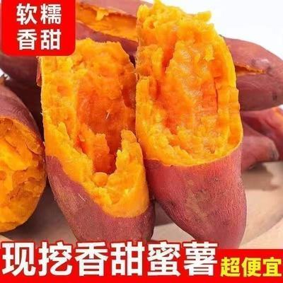 【超便宜】正宗沙地种植红蜜烟薯新鲜红薯板栗番薯黄心糖心地瓜