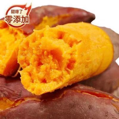 河南龙九红薯挖现新鲜发黄板栗26番薯新货地瓜山芋便宜特价批发