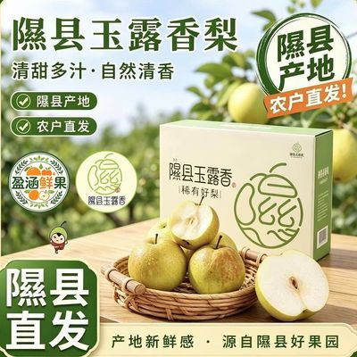 【产地直发】正宗山西特产隰县玉露香梨礼盒装新鲜当季水果梨子