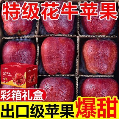 【地标授权】正宗甘肃天水花牛苹果应季蛇果新鲜苹果水果彩箱发货优惠商品图片
