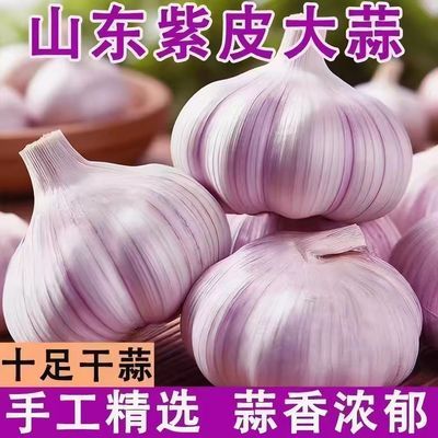 金乡紫皮大蒜紫白皮新鲜紫皮批发新干蒜精挑细选产地直发红皮大蒜