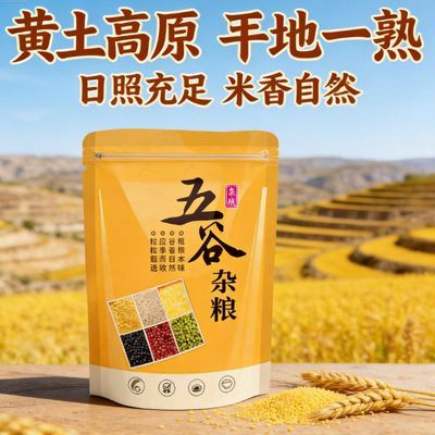 米脂小米五谷杂粮营养早餐黄小米油小米醇香陕北小米4斤装/袋优惠商品图片