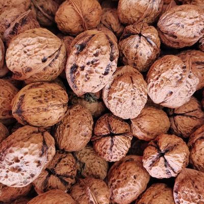 云南高山老树薄皮核桃产地直供2026新货原生态干核桃散装农产品【15天内发货】
