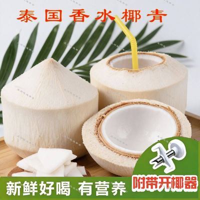 泰国进口香水椰青正品当季新鲜奶香椰子汁清甜多汁孕妇水果椰子鸡优惠商品图片