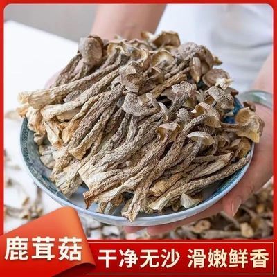 鹿茸日晒干货净重菇菌菇精选煲汤新鲜无熏菌菇食材鹿耳菇批发价