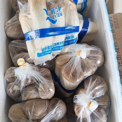 原产地精品新鲜杏鲍菇小包装现采食用菌农家鲜蘑菇火锅顺丰包邮