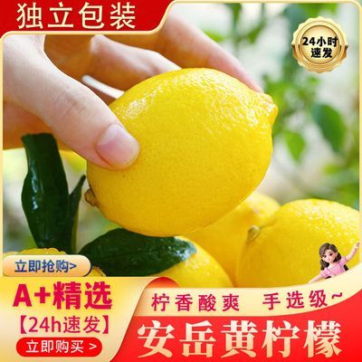 正宗四川安岳黄柠檬新鲜薄皮应当季多汁奶茶水果当季鲜果整箱批发