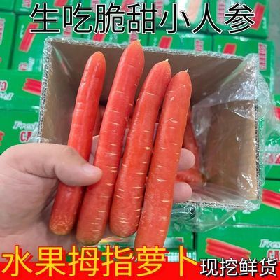 生吃拇指萝卜小红萝卜脆甜香新鲜蔬菜自家种红心甜萝卜新鲜水果