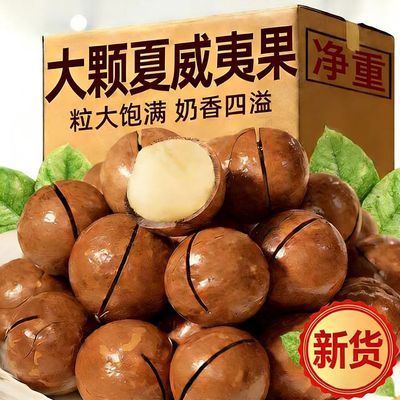 新货夏威夷果奶油味大颗粒坚果袋装净重特产休闲零食坚果年货烘焙优惠商品图片