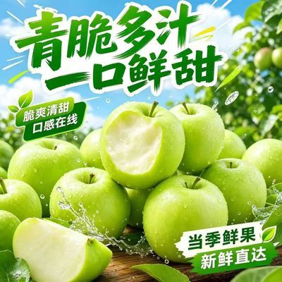 青岛宝山明月青苹果现摘纯甜无酸新鲜孕妇多汁应季头茬产地直发优惠商品图片