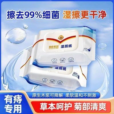 马应龙湿厕纸80抽家庭实惠装男女湿手纸擦屁股加大加厚有痔专用
