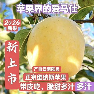 坏果包赔 云南陆良维纳斯黄金苹果新鲜脆甜无酸苹果整箱包邮