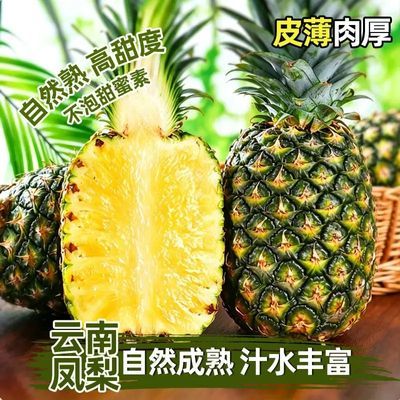 正宗云南凤梨现摘整箱当季热带现发多汁无眼凤梨新鲜水果即食酸甜优惠商品图片